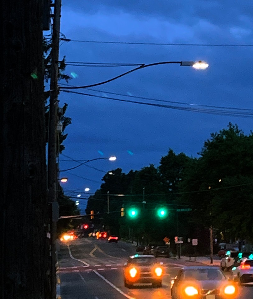 Cobrahead Lights